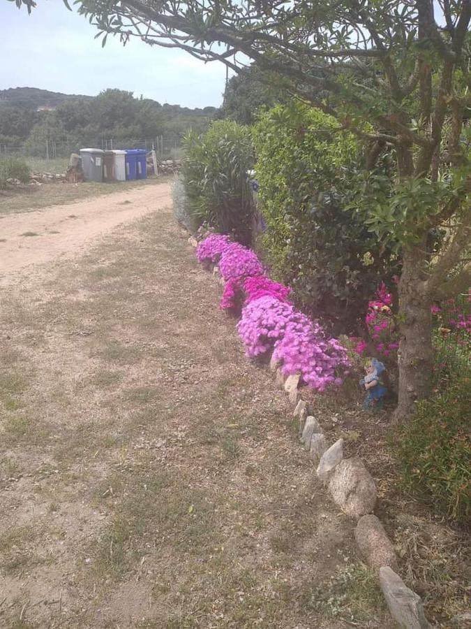 אגליאנטו B&B Li Salcuneddi מראה חיצוני תמונה