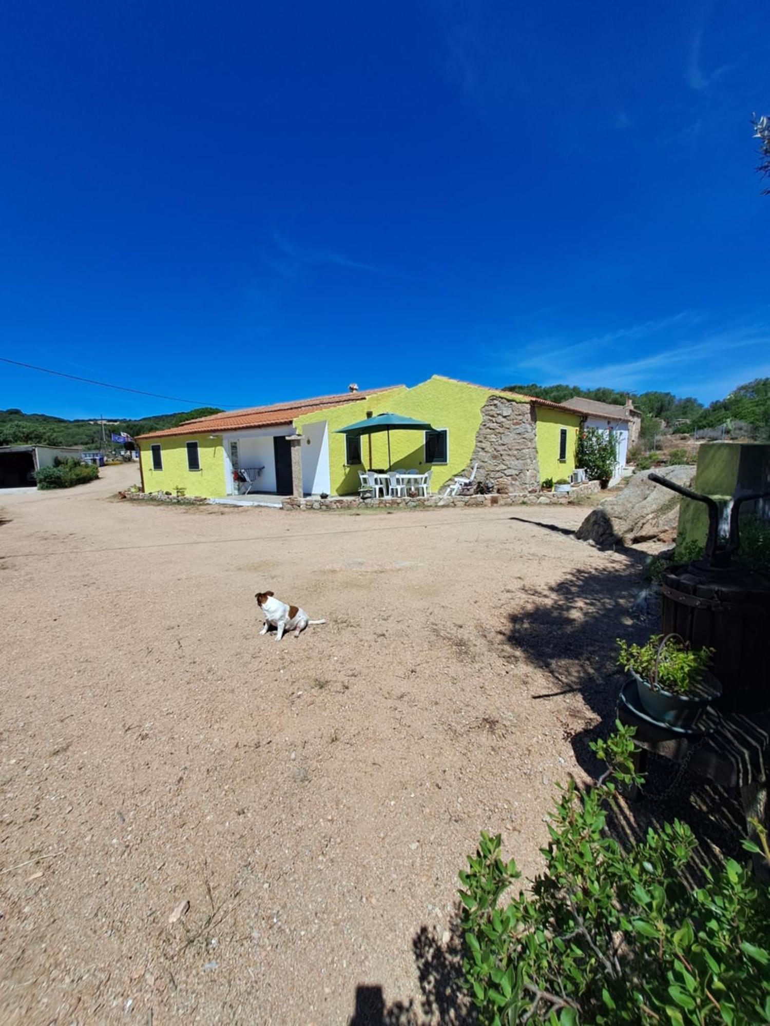 אגליאנטו B&B Li Salcuneddi מראה חיצוני תמונה